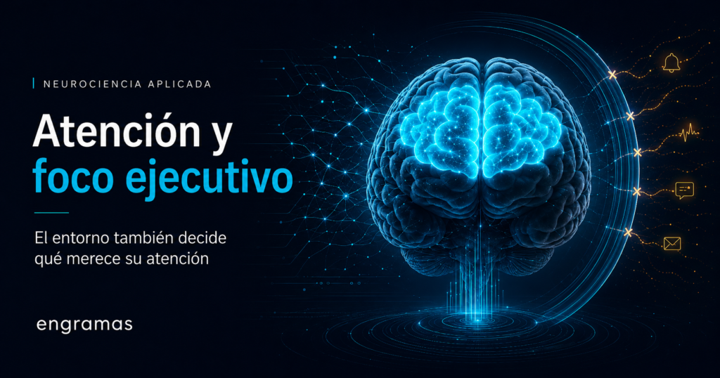 Atención y concentración: cómo proteger el control ejecutivo